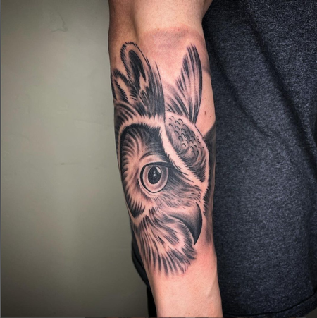 tattoos/ - Dayton Smith Owl - 143789